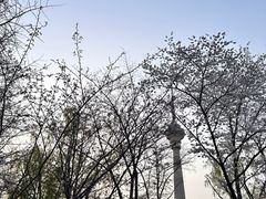 -七仙岭温泉国家森林公园