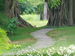 -武清南湖绿博园