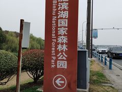 -合肥滨湖国家森林公园