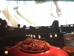 -地球美食剧场