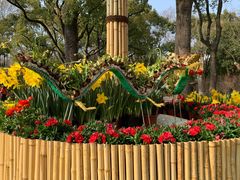 -上海共青森林公园