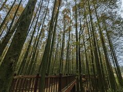 -山王坪喀斯特国家生态公园