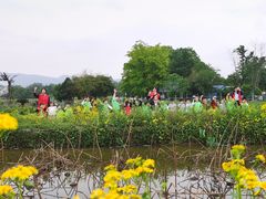 -宾果蒙特梭利托育儿童之家幼儿园(爱琴海店)