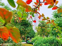 -苏州河梦清园环保主题公园