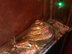 -金蜗牛