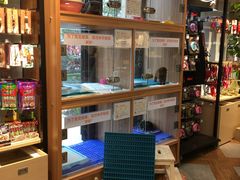 -宠小格时尚宠物生活馆(唐镇店)