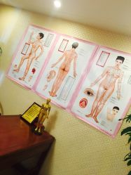 -养月堂中医养生月子会所(中心妇产店)