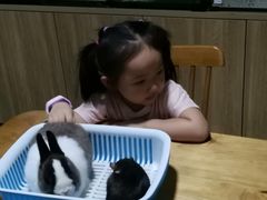 -藦茜花园宠物主题亲子互动体验馆(国顺东路店)