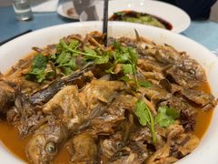 -大连湾旭日·家宴·海肠捞饭(马栏广场店)