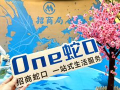 -招商蛇口邮轮母港(观光客运)