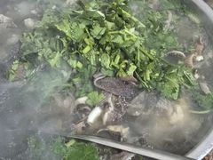-小杨翘脚牛肉