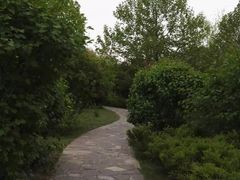 -前关湿地公园