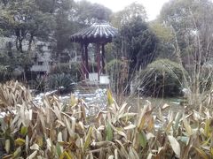 -八大山人梅湖景区