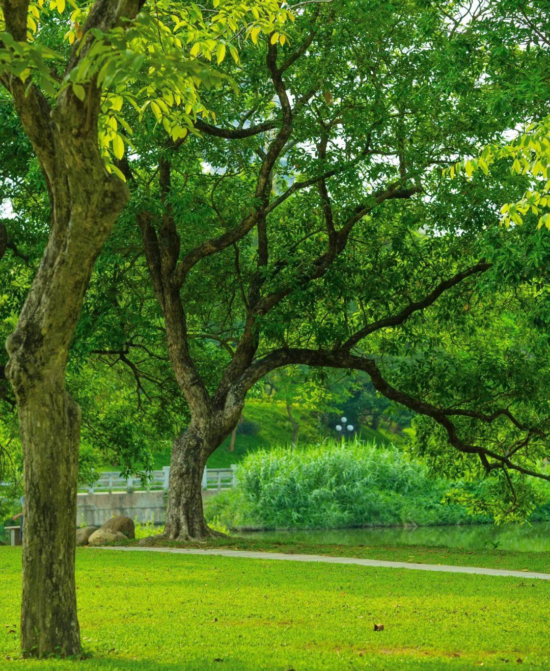 川军为何守不住泸定桥？就一个营也惧怕被前后夹攻