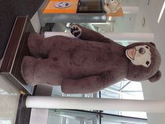 iphone_upload_pic-济州岛泰迪熊博物馆