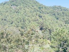 -广州白江湖森林公园