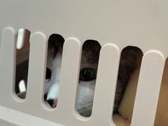 -佳雯宠物医院(四明中路分院)