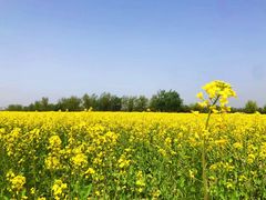 -汉长安城未央宫国家考古遗址公园