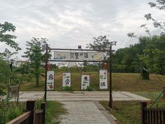 -大湾区中央湿地公园