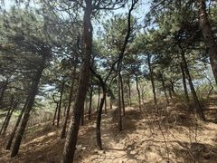 -北京十三陵国家森林公园蟒山景区