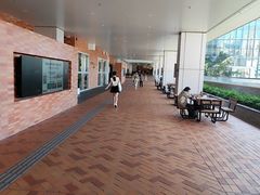 -香港大学