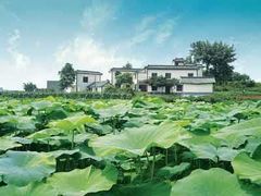 -三圣花乡旅游区