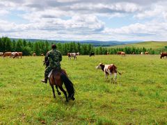 -塞罕坝国家级自然保护区