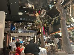 -桂满陇·海市蜃楼·黑金(国金店)