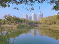-福田红树林生态公园