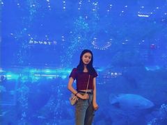 -成都浩海立方海洋公园