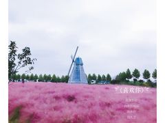 -金卉庄园