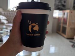 -瑞幸咖啡(北美N1购物中心店)