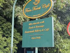 -Fern Forest Cafe