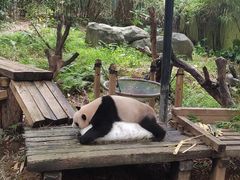-广州长隆野生动物世界