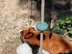 -西霞口神雕山野生动物世界