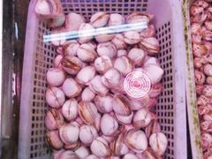 -锦绣大地生鲜食品厅(巨山路店)