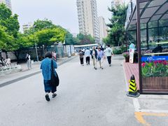-北京大学人民医院-地上停车场