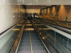 -大龙山(地铁站)