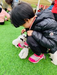 -萌宠亲子动物乐园(槐房万达店)