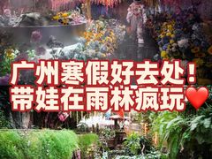 -正佳雨林生态植物园