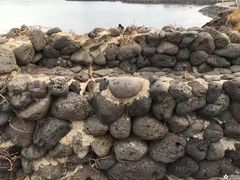 -龙头岩(Dragon Head Rock)