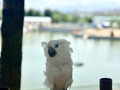 -水上乐园·欢乐世界