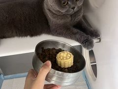 -康成宠物医院24H·CT·核磁共振