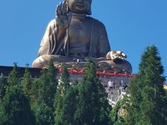 -龙口南山旅游景区