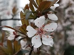 -共青国家森林公园-售票处