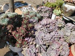 -玉泉综合市场(天山北路店)