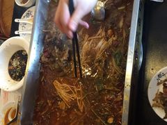 叉尾鮰-新珠城鱼坊(龙湖店)