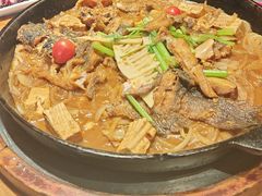 -老板恋上鱼(恒隆广场店)