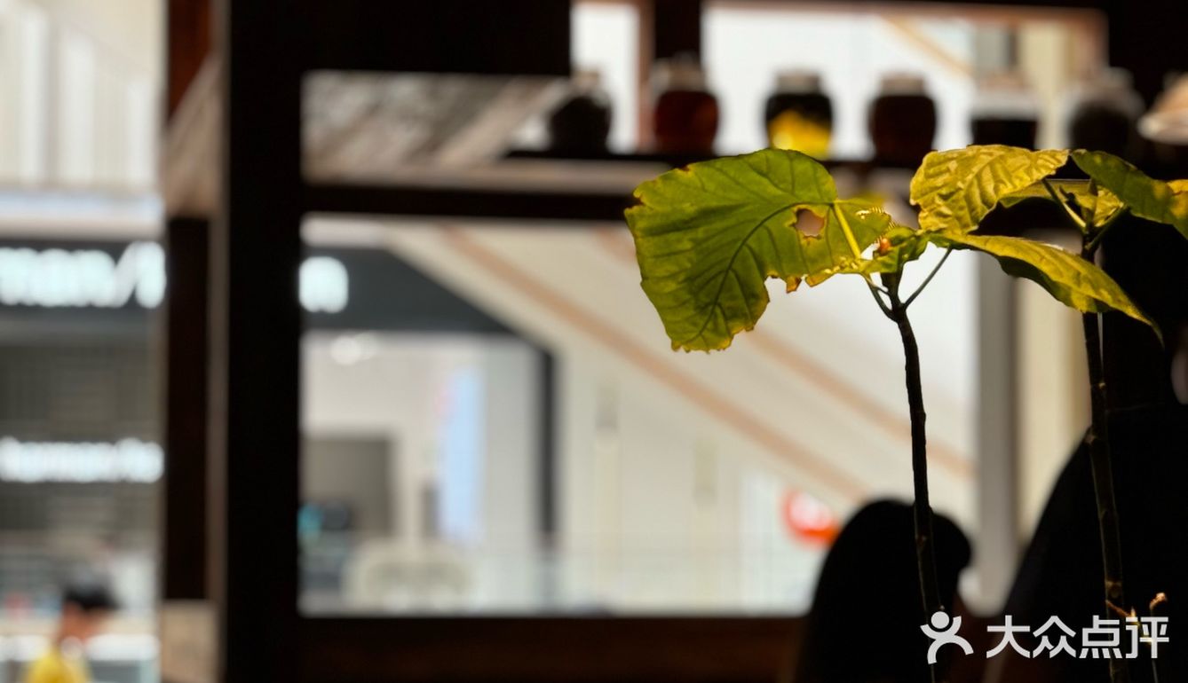 打卡📍食野贵州「贵Guii」