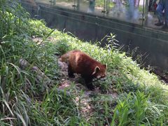 -宁波野生动物园